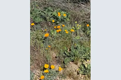 0 Inland, Aguanga, CA 92536 - Photo 8
