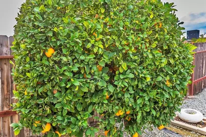 27177 Flagler Street, Menifee, CA 92586 - Photo 28