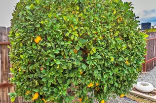 27177 Flagler St, Menifee, CA 92586 - Photo 28