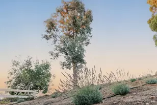 37450 Downey Rd, Temecula, CA 92592 - Photo 38