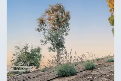 37450 Downey Road, Temecula, CA 92592 - Photo 38