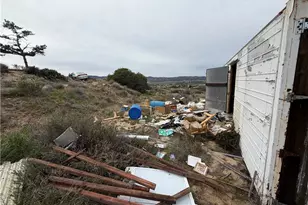 61200 Indian Paint Brush Rd, Anza, CA 92539 - Photo 64