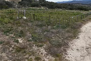 61200 Indian Paint Brush Rd, Anza, CA 92539 - Photo 52