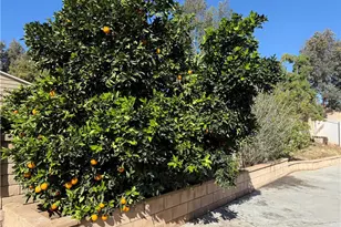 22322 Hillshore Ct, Wildomar, CA 92595 - Photo 20