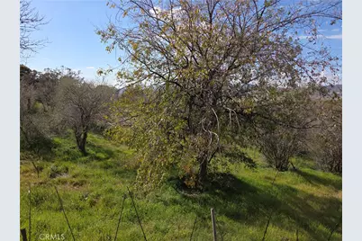 59995 Granite Gulley, Anza, CA 92539 - Photo 4