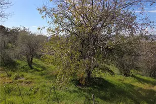 59995 Granite Gulley, Anza, CA 92539 - Photo 4