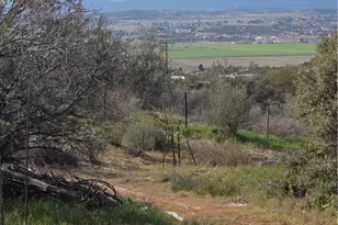 59995 Granite Gulley, Anza, CA 92539 - Photo 22