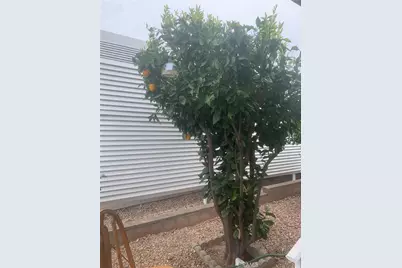 35218 Fir #120, Yucaipa, CA 92399 - Photo 4