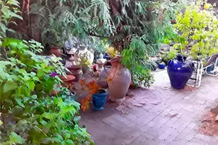 677 Elm St, San Jose, CA 95126 - Photo 44