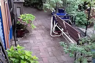 677 Elm St, San Jose, CA 95126 - Photo 42