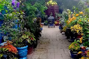 677 Elm St, San Jose, CA 95126 - Photo 38