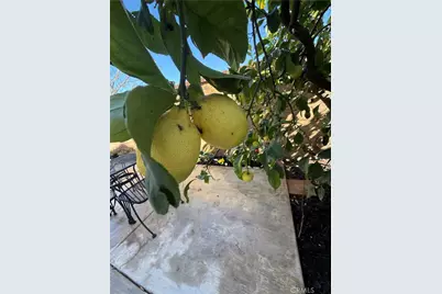 25056 Driftoak, Murrieta, CA 92562 - Photo 46