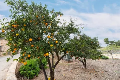 13511 McNally, Valley Center, CA 92082 - Photo 66