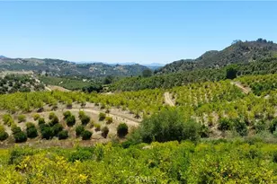 5 De Anza Rd, Temecula, CA 92590 - Photo 4