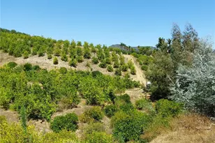 5 De Anza Rd, Temecula, CA 92590 - Photo 38