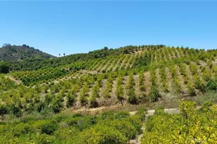 5 De Anza Rd, Temecula, CA 92590 - Photo 6