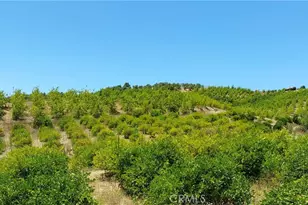 5 De Anza Rd, Temecula, CA 92590 - Photo 28