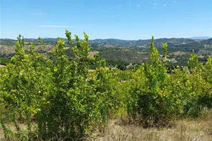 5 De Anza Rd, Temecula, CA 92590 - Photo 12