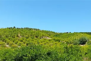 5 De Anza Rd, Temecula, CA 92590 - Photo 32