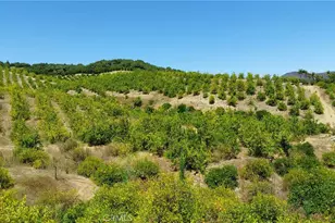 5 De Anza Rd, Temecula, CA 92590 - Photo 36