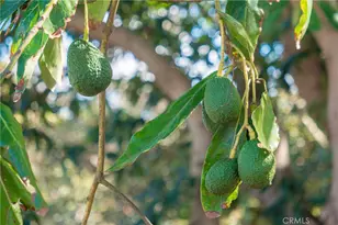 8 Via Horca, Temecula, CA 92590 - Photo 34