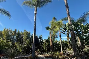 1670 Alta Vista, Vista, CA 92084 - Photo 12