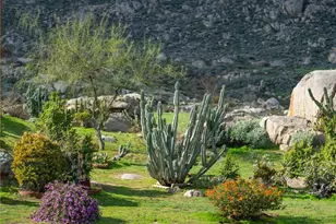 24515 California Ave, Hemet, CA 92545 - Photo 8