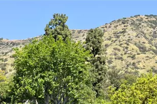 451 N Baldy Vista, Glendora, CA 91741 - Photo 48