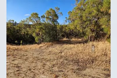 59600 Burnt Valley Road, Anza, CA 92539 - Photo 20