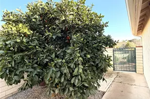 2750 Maple Dr, Hemet, CA 92545 - Photo 26