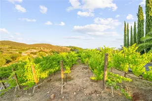 37654 Calle De Lobo, Murrieta, CA 92562 - Photo 56