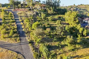 4408 Brodea Ln, Fallbrook, CA 92028 - Photo 66