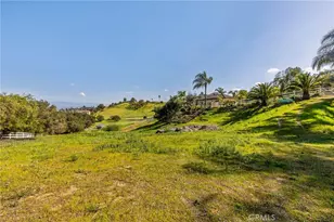 4709 Briana Ct, Fallbrook, CA 92028 - Photo 50