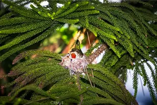 2216 El Capitan Dr, Riverside, CA 92506 - Photo 38