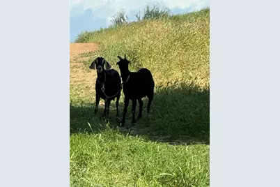 23816 Johnson Lane, Menifee, CA 92587 - Photo 4