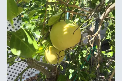 31130 S General Kearny #153, Temecula, CA 92591 - Photo 34