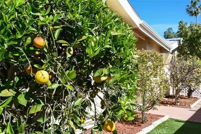 44607 Springwood, Hemet, CA 92544 - Photo 32