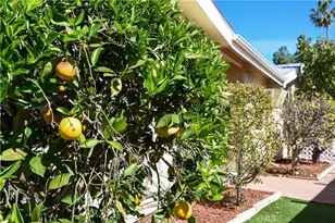 44607 Springwood, Hemet, CA 92544 - Photo 32