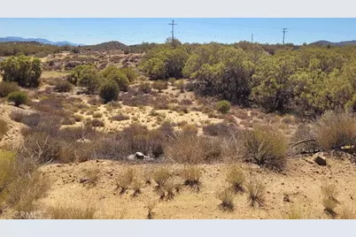 0 Terwilliger Road, Anza, CA 92539 - Photo 12