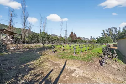 31420 Palm Avenue, Hemet, CA 92543 - Photo 40