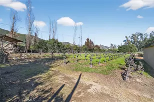 31420 Palm Ave, Hemet, CA 92543 - Photo 40