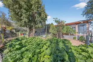 31420 Palm Ave, Hemet, CA 92543 - Photo 38