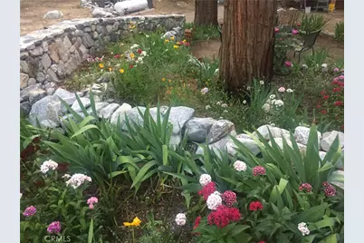 9112 Torrey Pines Road, Forest Falls, CA 92339 - Photo 6