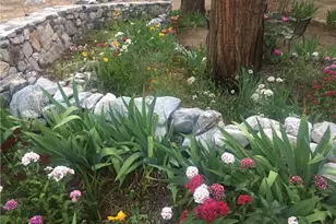 9112 Torrey Pines Rd, Forest Falls, CA 92339 - Photo 6