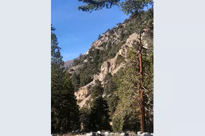 9112 Torrey Pines Road, Forest Falls, CA 92339 - Photo 26