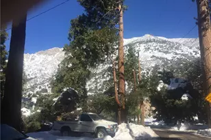 9112 Torrey Pines Rd, Forest Falls, CA 92339 - Photo 28