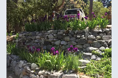 9112 Torrey Pines Road, Forest Falls, CA 92339 - Photo 4