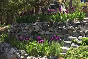 9112 Torrey Pines Rd, Forest Falls, CA 92339 - Photo 4