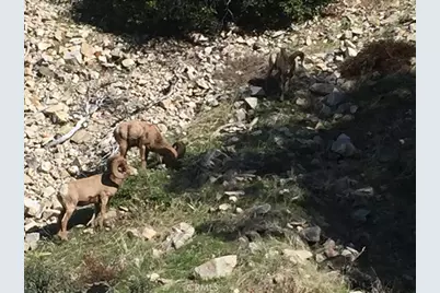 9112 Torrey Pines Road, Forest Falls, CA 92339 - Photo 24