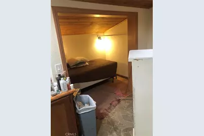 9112 Torrey Pines Road, Forest Falls, CA 92339 - Photo 16